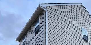 Best Siding Painting and Refinishing  in USA